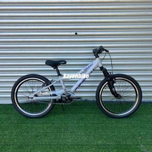 Raleigh on sale 20 bike