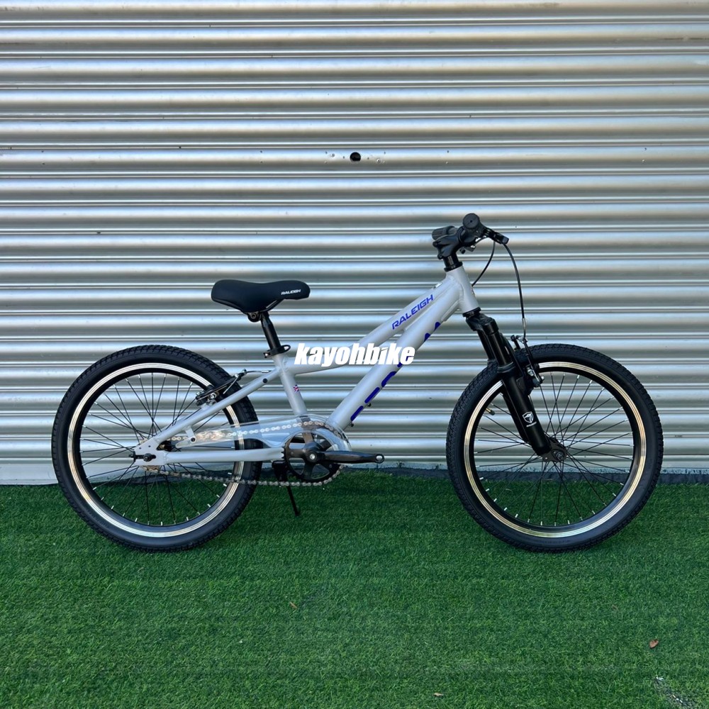 Raleigh storm cycle cheap